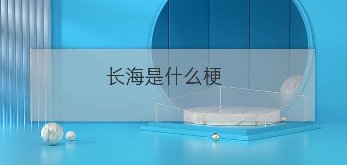 长海是什么梗