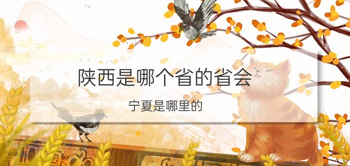 陕西是哪个省的省会（宁夏是哪里的）