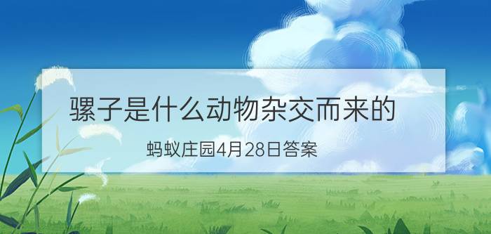 骡子是什么动物杂交而来的？蚂蚁庄园4月28日答案