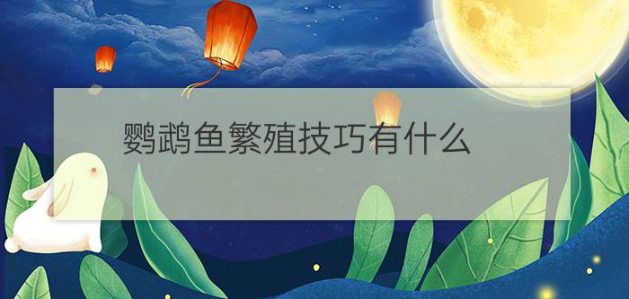 鹦鹉鱼繁殖技巧有什么