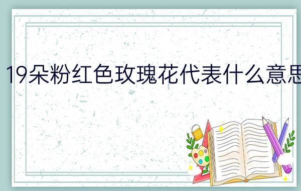 19朵粉红色玫瑰花代表什么意思