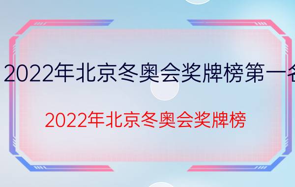 2022年北京冬奥会奖牌榜第一名（2022年北京冬奥会奖牌榜）