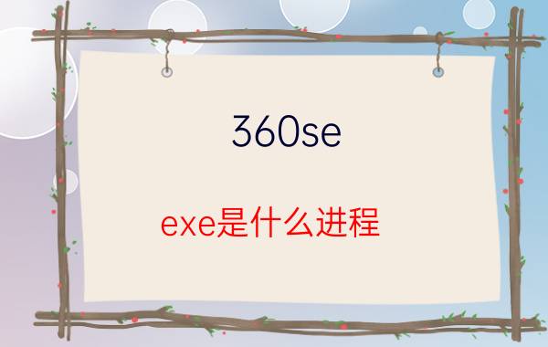 360se.exe是什么进程