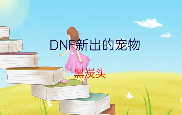 DNF新出的宠物（黑炭头）好不（有谁开出来了）