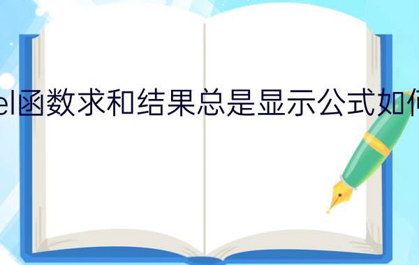 Excel函数求和结果总是显示公式如何解决