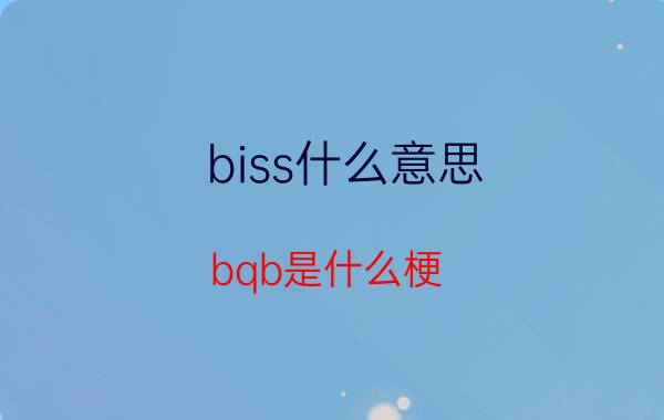 biss什么意思(bqb是什么梗)