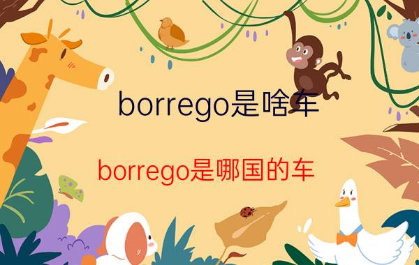 borrego是啥车（borrego是哪国的车）