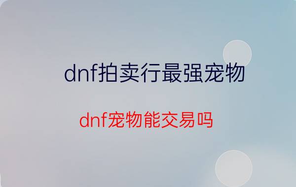 dnf拍卖行最强宠物（dnf宠物能交易吗）