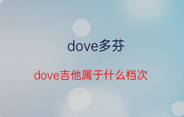 dove多芬（dove吉他属于什么档次）