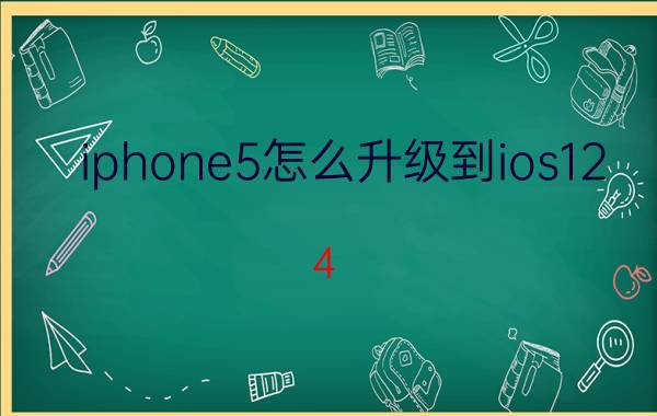 iphone5怎么升级到ios12.4.1（iphone5怎么升级到ios7）