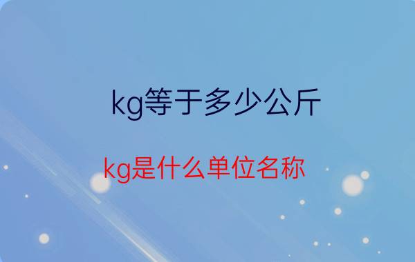 kg等于多少公斤（kg是什么单位名称）