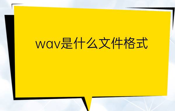 wav是什么文件格式？.wav文件怎么打开？