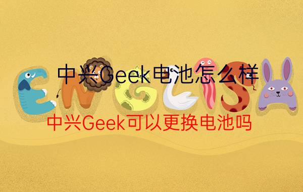 中兴Geek电池怎么样？中兴Geek可以更换电池吗？