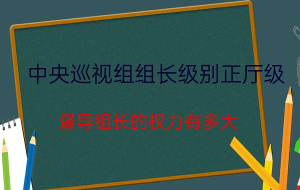 中央巡视组组长级别正厅级（督导组长的权力有多大）