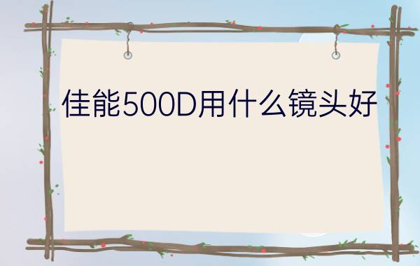 佳能500D用什么镜头好