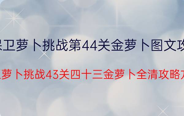 保卫萝卜挑战第44关金萝卜图文攻略（保卫萝卜挑战43关四十三金萝卜全清攻略方法）