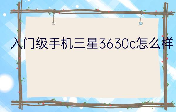 入门级手机三星3630c怎么样