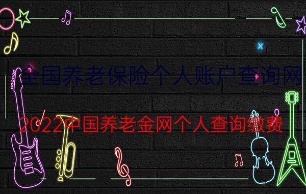 全国养老保险个人账户查询网，2022中国养老金网个人查询缴费