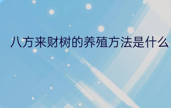 八方来财树的养殖方法是什么