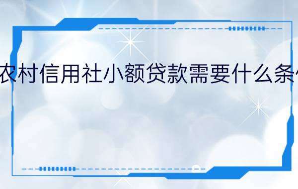 农村信用社小额贷款需要什么条件