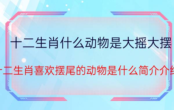 十二生肖什么动物是大摇大摆（十二生肖喜欢摆尾的动物是什么简介介绍）