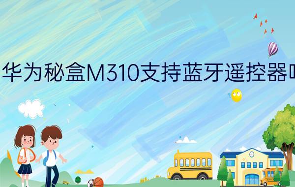 华为秘盒M310支持蓝牙遥控器吗