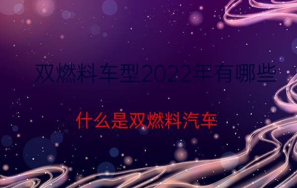 双燃料车型2022年有哪些（什么是双燃料汽车）