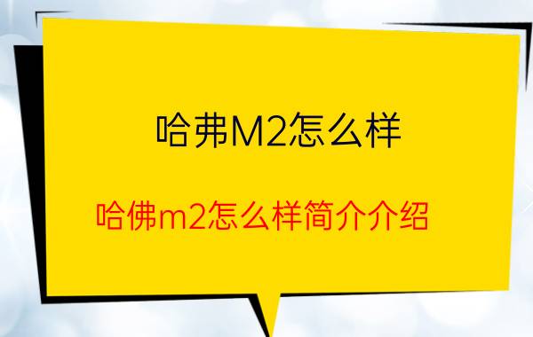 哈弗M2怎么样（哈佛m2怎么样简介介绍）