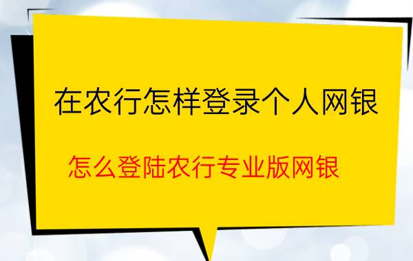 在农行怎样登录个人网银（怎么登陆农行专业版网银）