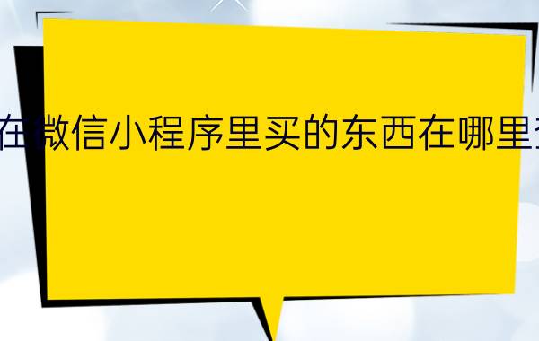 在微信小程序里买的东西在哪里查