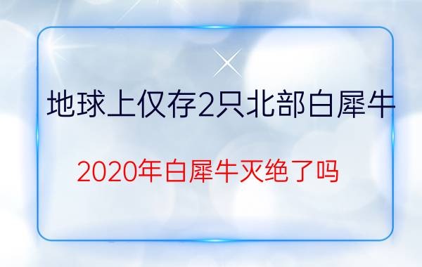 地球上仅存2只北部白犀牛（2020年白犀牛灭绝了吗）