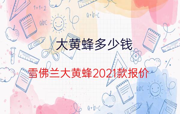 大黄蜂多少钱(雪佛兰大黄蜂2021款报价)