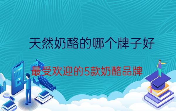 天然奶酪的哪个牌子好（最受欢迎的5款奶酪品牌）