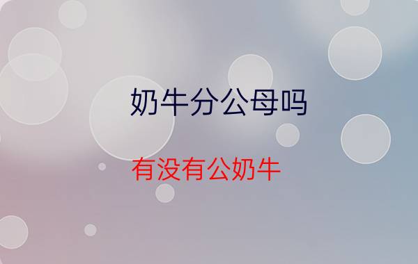 奶牛分公母吗（有没有公奶牛？）