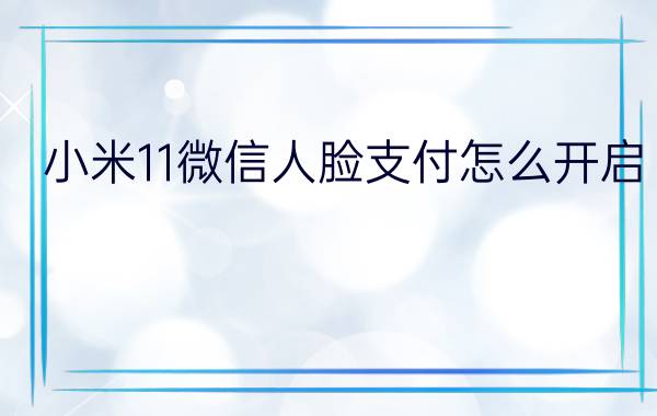 小米11微信人脸支付怎么开启