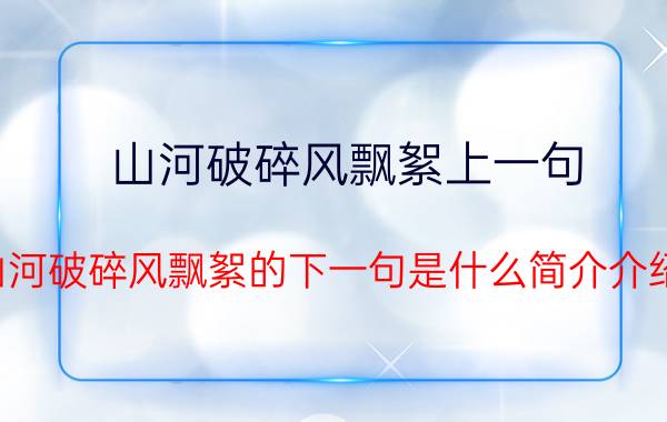 山河破碎风飘絮上一句（山河破碎风飘絮的下一句是什么简介介绍）