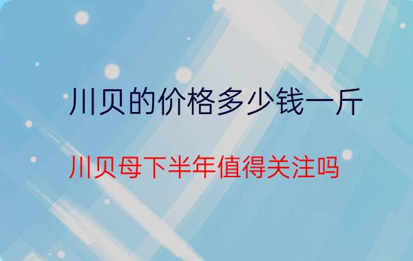 川贝的价格多少钱一斤（川贝母下半年值得关注吗）