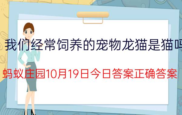 我们经常饲养的宠物龙猫是猫吗？蚂蚁庄园10月19日今日答案正确答案