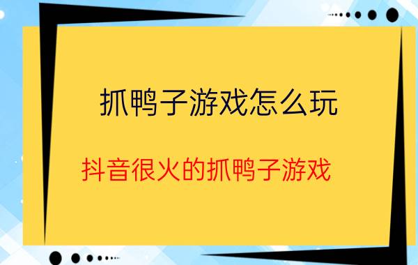 抓鸭子游戏怎么玩（抖音很火的抓鸭子游戏）