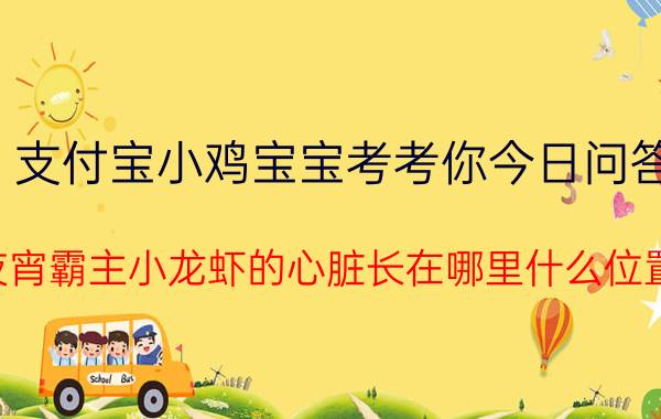 支付宝小鸡宝宝考考你今日问答：夜宵霸主小龙虾的心脏长在哪里什么位置