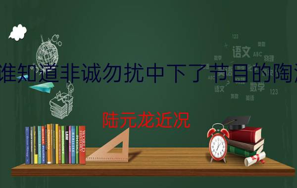 有谁知道非诚勿扰中下了节目的陶海燕（陆元龙近况）