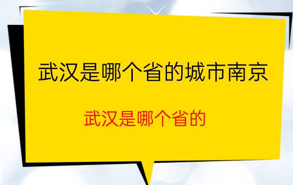 武汉是哪个省的城市南京(武汉是哪个省的)