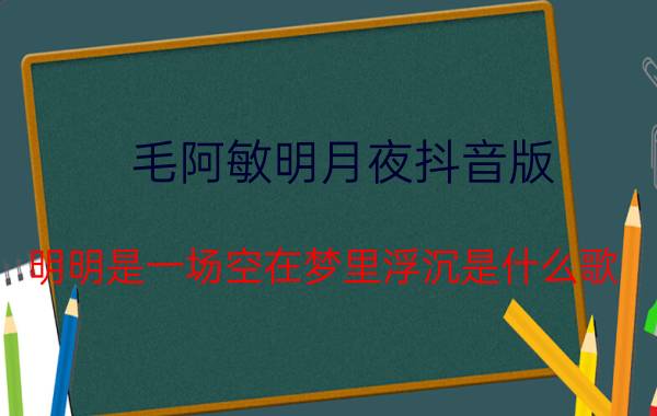 毛阿敏明月夜抖音版（明明是一场空在梦里浮沉是什么歌）