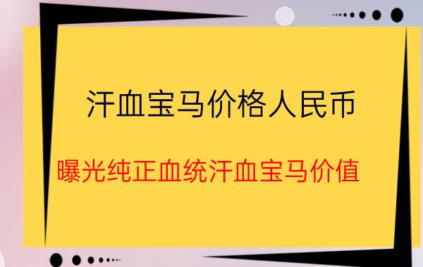 汗血宝马价格人民币（曝光纯正血统汗血宝马价值）