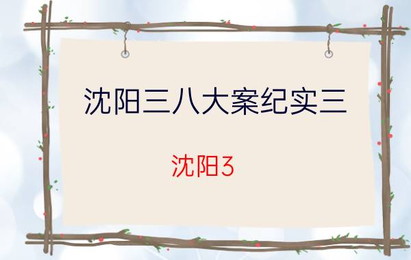 沈阳三八大案纪实三（沈阳3.8大案纪实最后一级是真人吗）