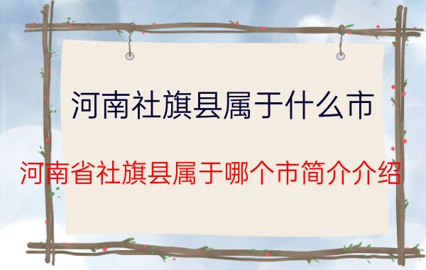 河南社旗县属于什么市（河南省社旗县属于哪个市简介介绍）