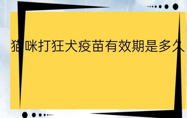 猫咪打狂犬疫苗有效期是多久