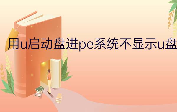 用u启动盘进pe系统不显示u盘