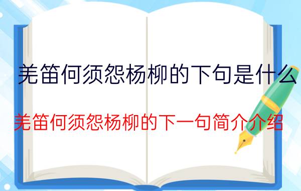 羌笛何须怨杨柳的下句是什么（羌笛何须怨杨柳的下一句简介介绍）