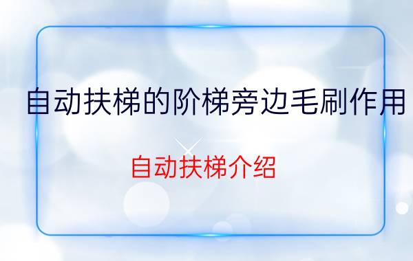 自动扶梯的阶梯旁边毛刷作用（自动扶梯介绍）